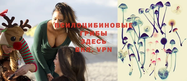 гидропоника Мегион