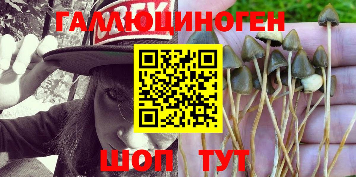 Псилоцибиновые грибы прущие грибы Уварово
